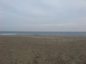 Beautiful beach directly in front of oceanfront rental home in OBX