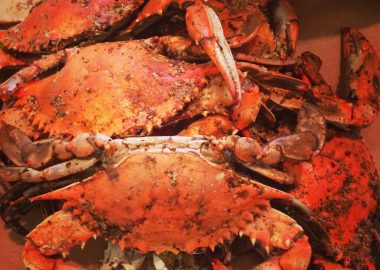 maryland-1277097_1920